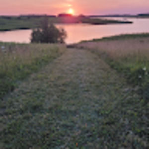 Meet your Posher, Justin